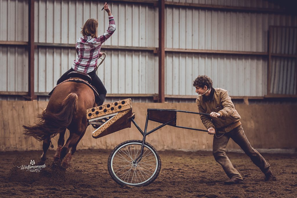 Neele Kühl Open-Minded Horsemanship | Westernreiten in Norddeutschland | Reitlehrerin | Mustang Makeover Germany Trainerin 2019