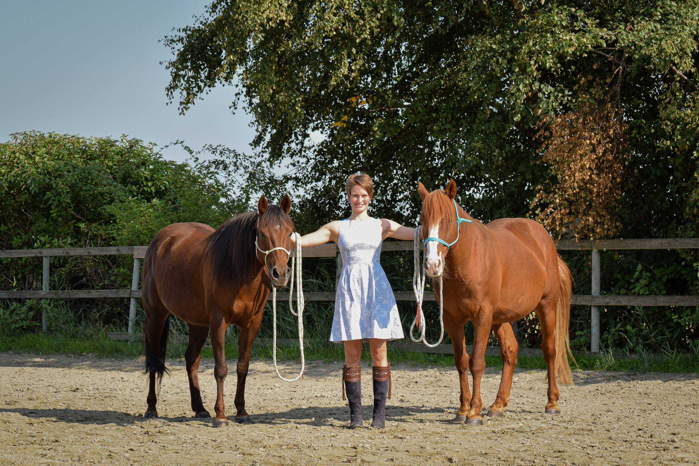 Jahresrückblick 2020